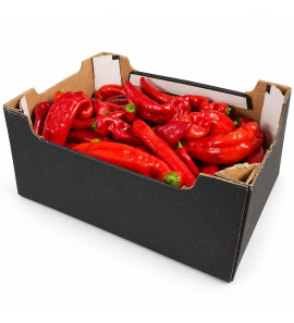FRESH LONG RED PEPPER ( SHOMBO) BOX
