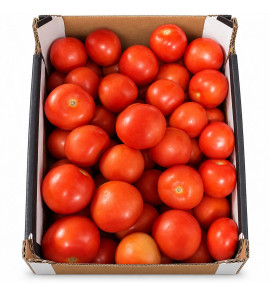 FRESH TOMATOES BOX